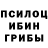 Псилоцибиновые грибы мухоморы Popescu felicia