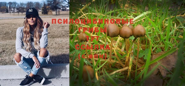 марки nbome Гусев