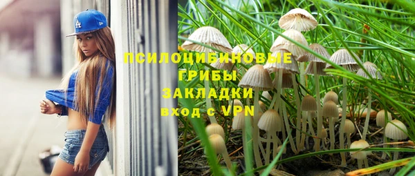 марки nbome Гусев